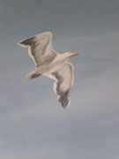 Wand- und Illusionsmalerei von Antje an der Spree