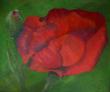 Malerei - Antje an der Spree